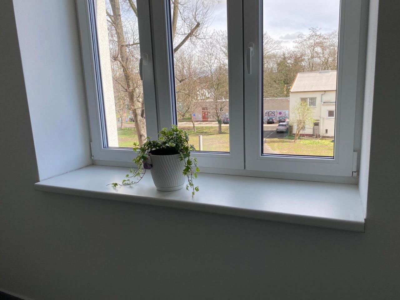 Perla Hradce Hradec Kralove